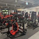 더 플레이 이미지