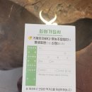 거제유자바다 영농조합법인