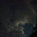 숲속의 예쁜별 이미지