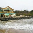 해변의 꿈 이미지