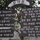 유식물원 이미지