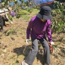 오르농장 이미지