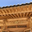 운암애견 이미지