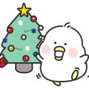 대덕안경원 이미지