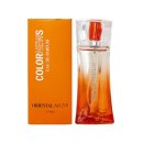 파라테크 이미지