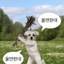 비소(조)-호-22 | 4. 피할 수 없으면 즐,, 줄입니다!