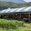 대부목장1 이미지