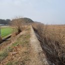 새만금바람길 이미지