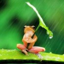 오거리 국민은행 이미지