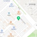 해피애견타운 강아지고양이 분당판교점 이미지