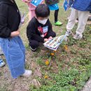 고실초교병설유치원 이미지