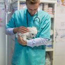 삼정동물병원 이미지