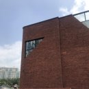 라이언펫 수원광교동물병원 이미지