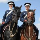 순기농장 | [영화 후기] 워 호스 후기. 스티븐 스필버그의 감동의 희망 메시지