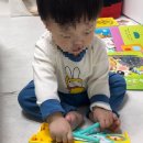 자연의 의자 | 돌전후 아기책상 추천 | 프렌디아 아기 책상·의자세트 내돈내산 후기