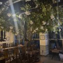 육심쟁이 이미지