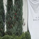 구천동농협 하나로마트 본점 네이버블로그