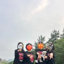 돌담만리 | 남해 애견펜션 돌담과초록｜가족 모두가 행복했던 1박 2일🐶🌿