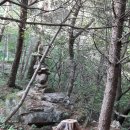 산골산나물