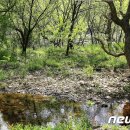 운곡자연체험학습장 뉴스1