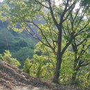 마루애견 이미지