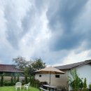 시골마당 | 반려견과 일주일살기｜마당 있는 시골숙소 ‘설향 이야기’ 후기