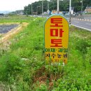 지수농원 이미지