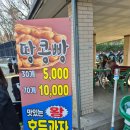 동물원 | 대구 아이와 목련 구경하기 좋은 달성공원 동물원 후기