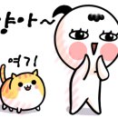 삼층고양이 이미지