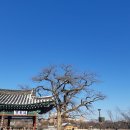 일도호수