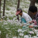 남원스넥 이미지