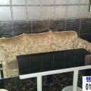 정방프라자 이미지