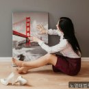 노영태법무사사무소