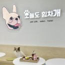 오늘도 힘차개