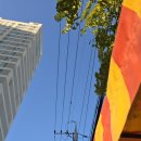 펑! 오후의 정전 이미지