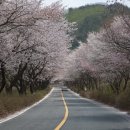 산꽃미술관 이미지