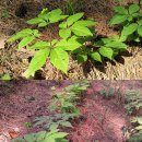 오근농장 이미지