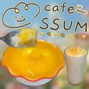 Ssum 썸 | 신논현역 카페 디저트 카페썸 애플망고 눈꽃빙수 참외라떼 존맛 | 강남 분좋카 카공 노트북작업