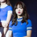 유정 이미지