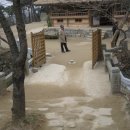 은은한 선 이미지