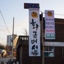 황금버섯 이미지