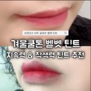 겨쿨틴트 추천 포렌코즈 타투 끌레르 벨벳 틴트 01 뽐므 11 누보 내돈내산 후기