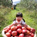 금산목장 이미지