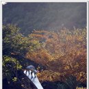 천마산조각공원 이미지