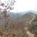 추산농로 이미지