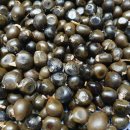 문관농장 | 기름밤(문관과)