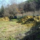 김영종농장 이미지