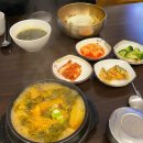 레드생튜나 이미지