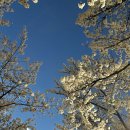 석촌호수로 이미지