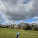 봄날처럼 | 봄날처럼 따뜻했던 제주 라온cc 라운드 후기